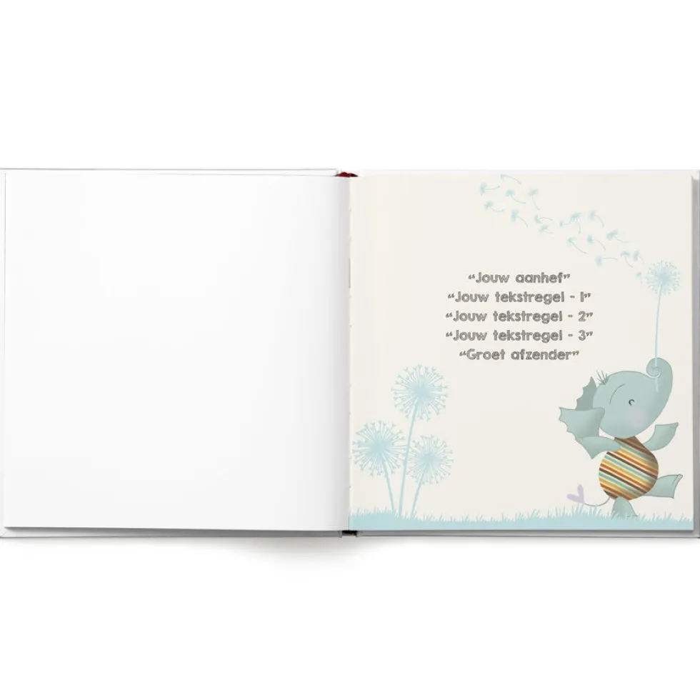 Babyboek "Welkom op de wereld" personaliseren
