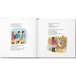 Boek