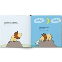 Boek