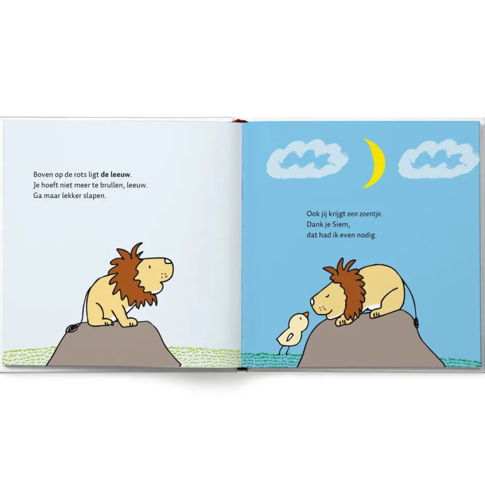 Boek "100 kusjes voor het slapengaan" met naam