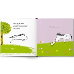 Boek