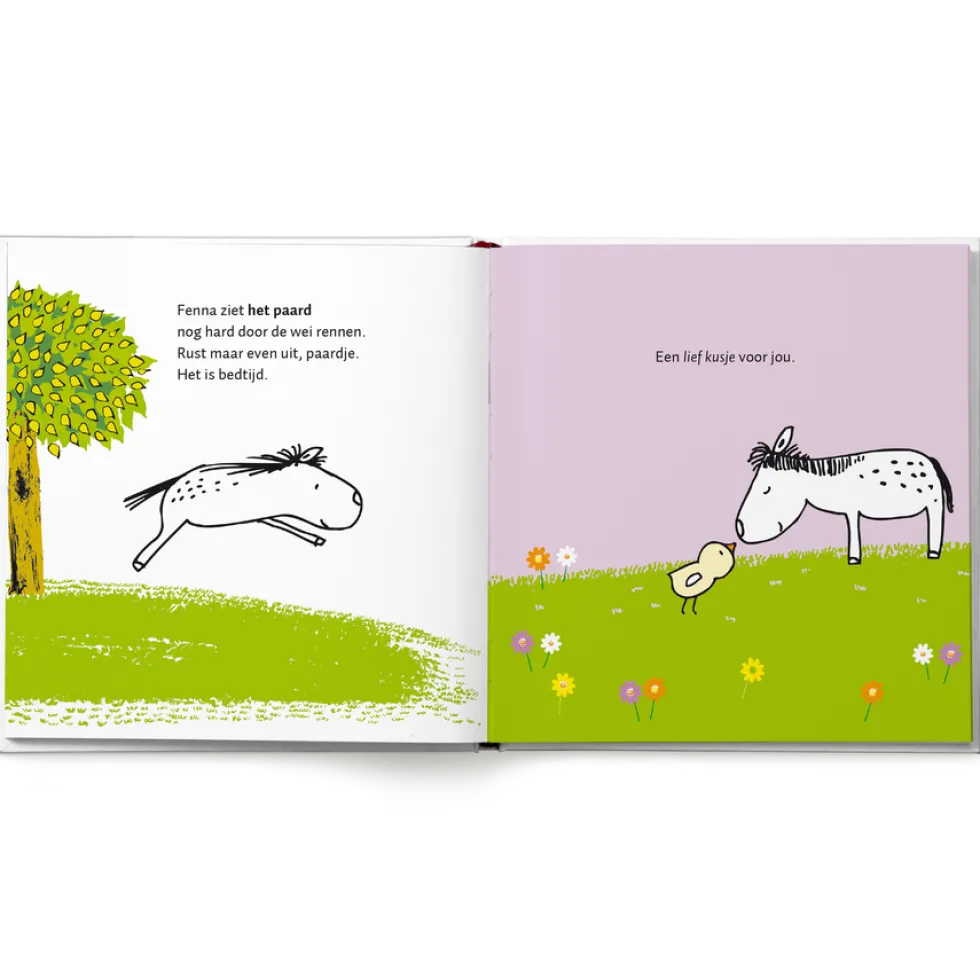 Boek "100 kusjes voor het slapengaan" met naam