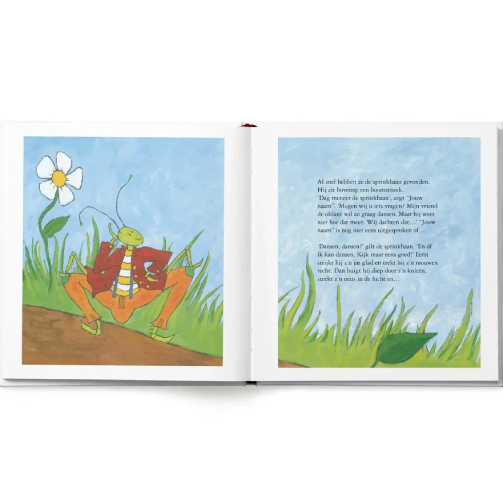 Boek met naam - De Olifantendans