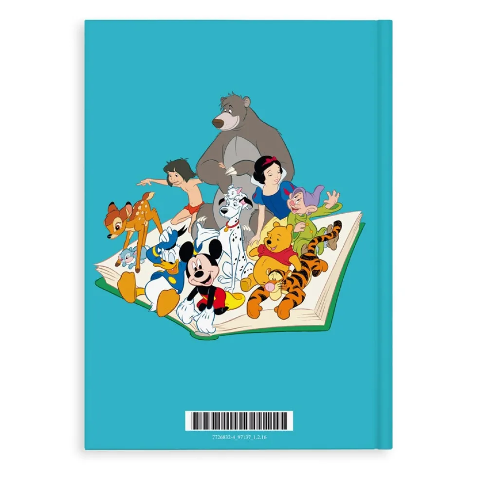Boek met naam - Disney Donald Duck