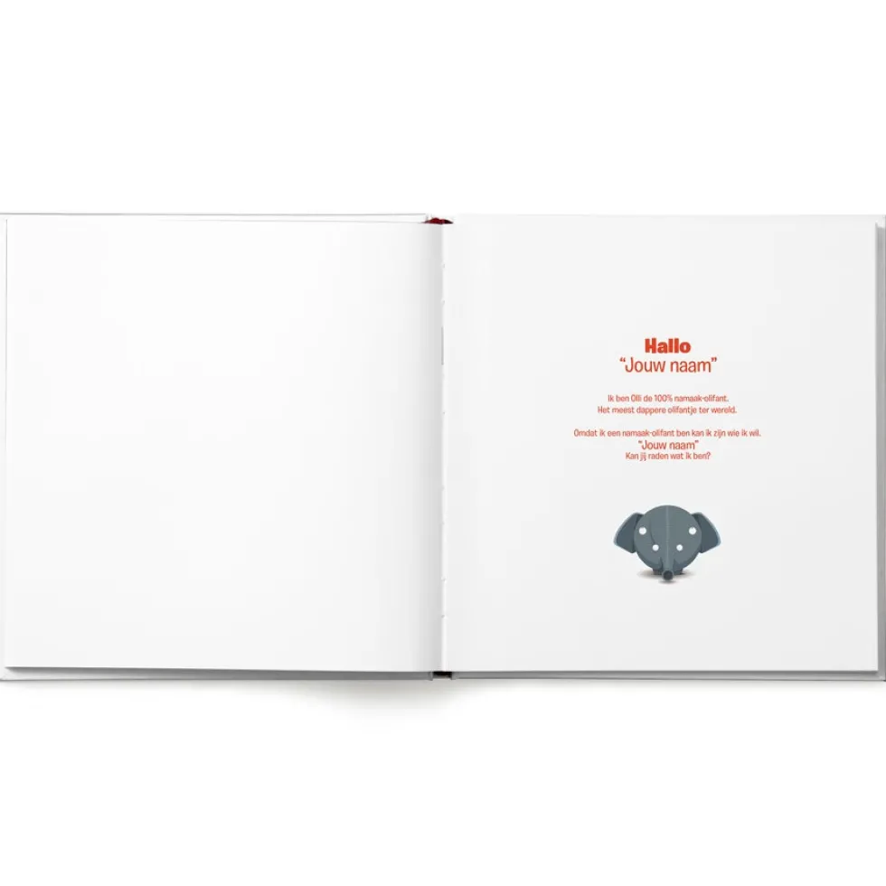 Boek met naam - Ollimania - Hallo Olli