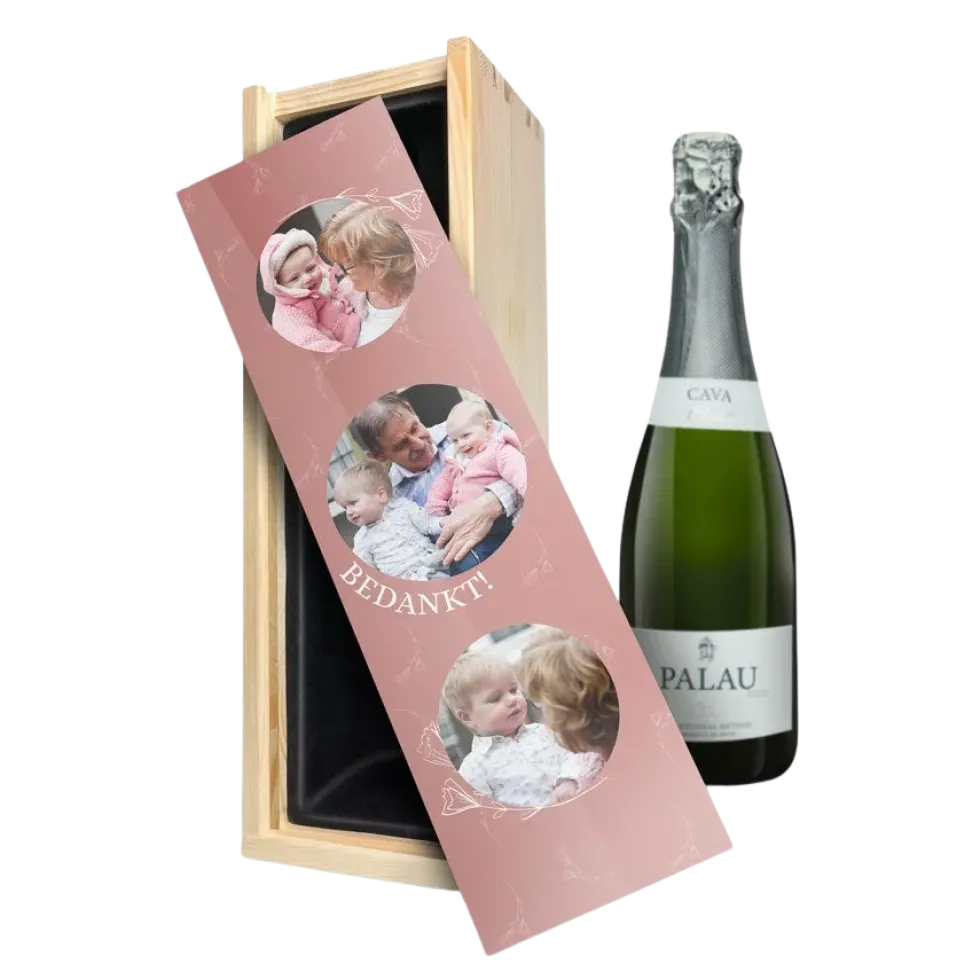 Cava Palau Gazo Brut