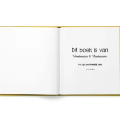 Het bucketlist boek voor vaders