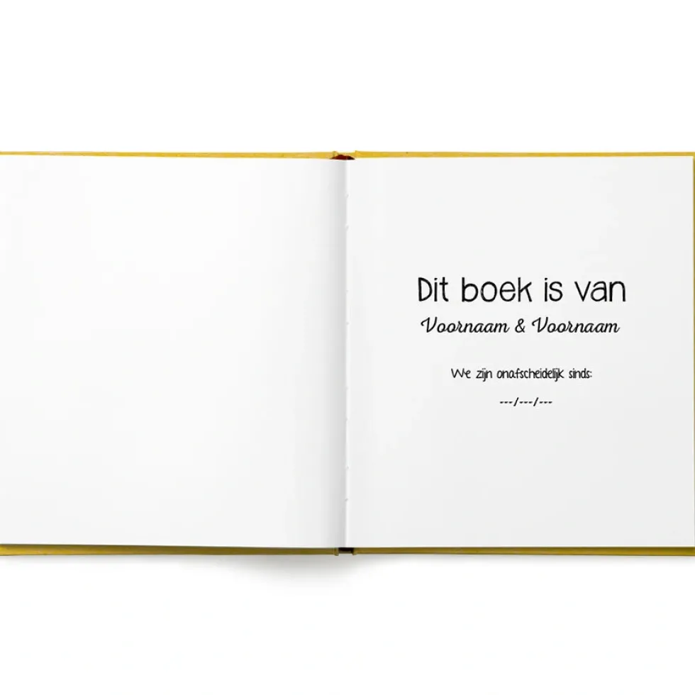Het bucketlist boek voor vaders