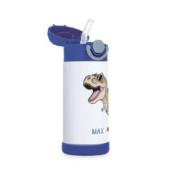 RVS drinkfles kind