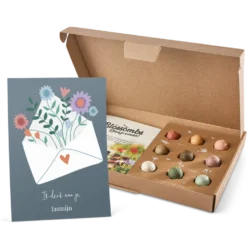 Zaadbommetjes cadeau