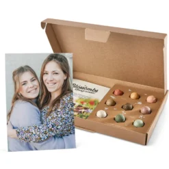Zaadbommetjes cadeau